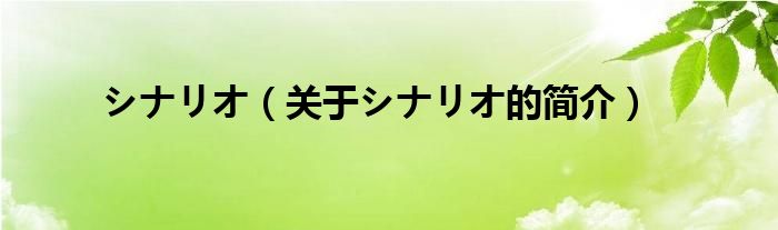 シナリオ（關(guān)于シナリオ的簡(jiǎn)介）