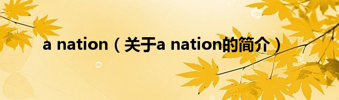 a nation（關(guān)于a nation的簡介）