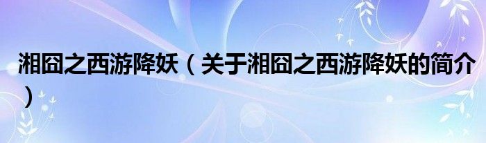 湘囧之西游降妖（關(guān)于湘囧之西游降妖的簡介）