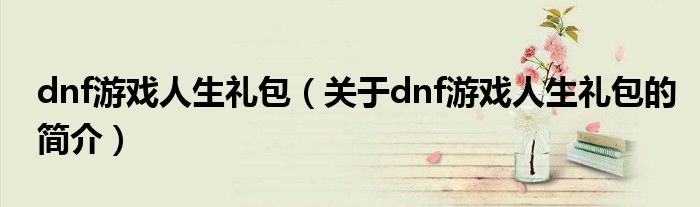 dnf游戲人生禮包（關(guān)于dnf游戲人生禮包的簡介）