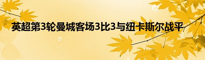 英超第3輪曼城客場(chǎng)3比3與紐卡斯?fàn)枒?zhàn)平