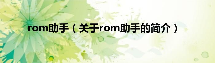 rom助手（關(guān)于rom助手的簡介）