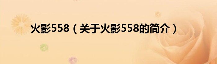 火影558（關(guān)于火影558的簡介）