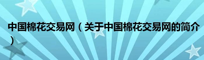 中國棉花交易網（關于中國棉花交易網的簡介）