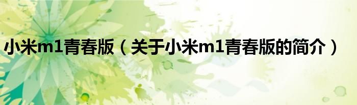 小米m1青春版（關(guān)于小米m1青春版的簡介）