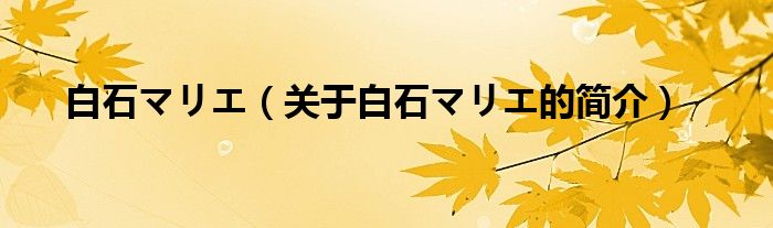 白石マリエ（關(guān)于白石マリエ的簡介）