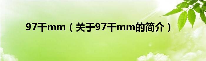 97干mm（關(guān)于97干mm的簡(jiǎn)介）