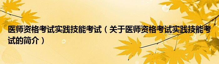 醫(yī)師資格考試實踐技能考試（關(guān)于醫(yī)師資格考試實踐技能考試的簡介）