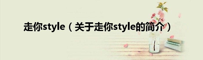 走你style（關(guān)于走你style的簡介）