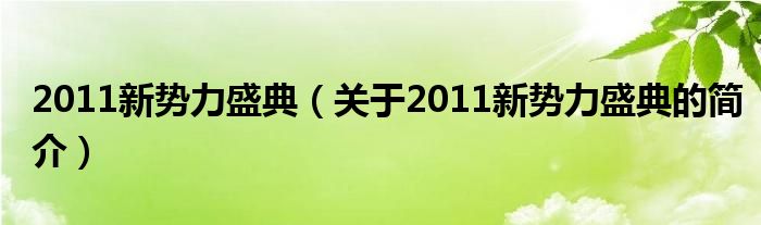 2011新勢力盛典（關于2011新勢力盛典的簡介）