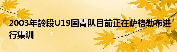 2003年齡段U19國(guó)青隊(duì)目前正在薩格勒布進(jìn)行集訓(xùn)