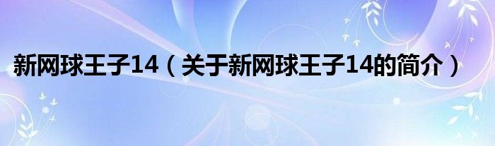 新網(wǎng)球王子14（關(guān)于新網(wǎng)球王子14的簡介）