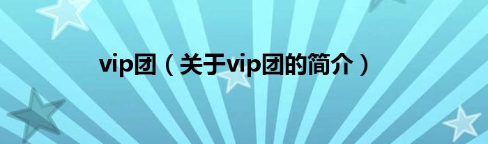 vip團（關于vip團的簡介）