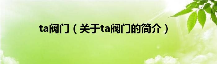 ta閥門（關(guān)于ta閥門的簡介）