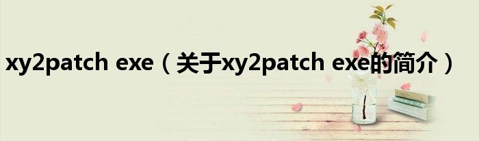 xy2patch exe（關于xy2patch exe的簡介）