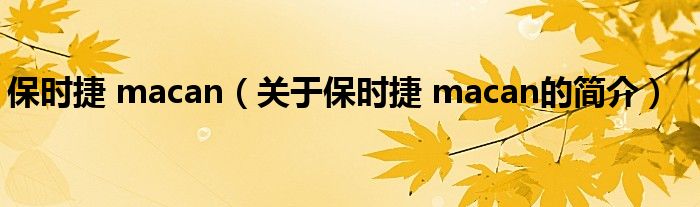 保時捷 macan（關(guān)于保時捷 macan的簡介）