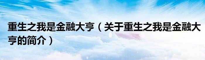 重生之我是金融大亨（關(guān)于重生之我是金融大亨的簡(jiǎn)介）