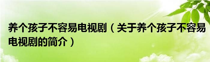 養(yǎng)個(gè)孩子不容易電視?。P(guān)于養(yǎng)個(gè)孩子不容易電視劇的簡介）