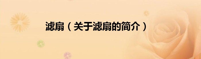 濾扇（關(guān)于濾扇的簡(jiǎn)介）