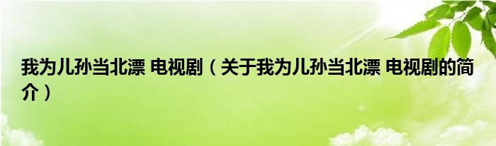 我為兒孫當(dāng)北漂 電視劇（關(guān)于我為兒孫當(dāng)北漂 電視劇的簡(jiǎn)介）