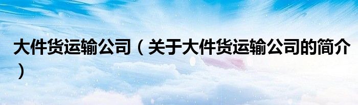 大件貨運輸公司（關(guān)于大件貨運輸公司的簡介）