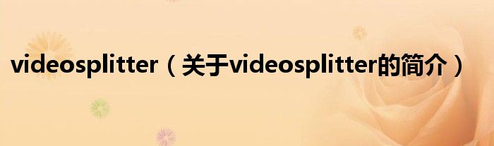 videosplitter（關(guān)于videosplitter的簡介）