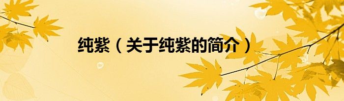 純紫（關(guān)于純紫的簡(jiǎn)介）