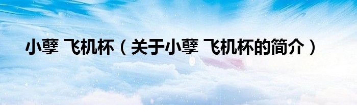 小孽 飛機(jī)杯（關(guān)于小孽 飛機(jī)杯的簡(jiǎn)介）