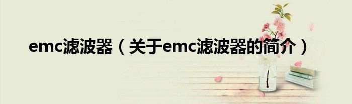 emc濾波器（關(guān)于emc濾波器的簡介）