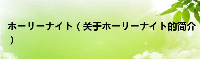 ホーリーナイト（關(guān)于ホーリーナイト的簡介）