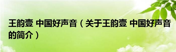 王韻壹 中國好聲音（關(guān)于王韻壹 中國好聲音的簡介）