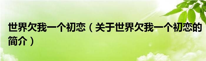 世界欠我一個(gè)初戀（關(guān)于世界欠我一個(gè)初戀的簡介）