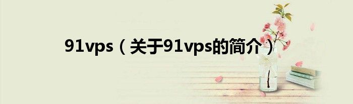 91vps（關于91vps的簡介）