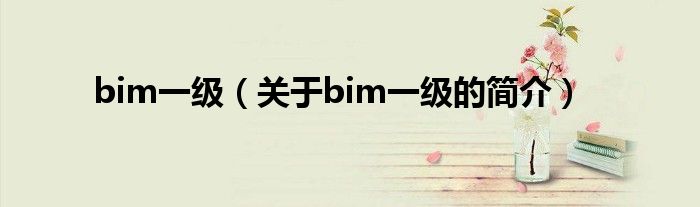 bim一級（關(guān)于bim一級的簡介）