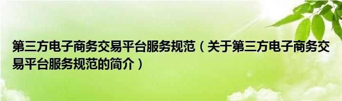 第三方電子商務(wù)交易平臺(tái)服務(wù)規(guī)范（關(guān)于第三方電子商務(wù)交易平臺(tái)服務(wù)規(guī)范的簡介）