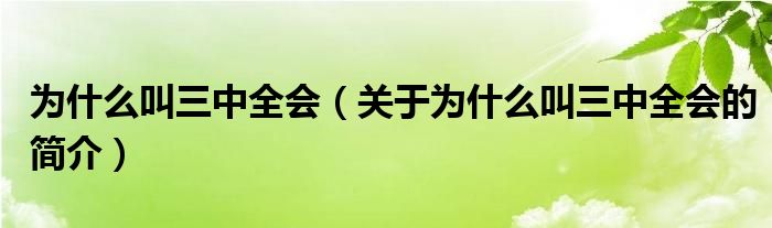 為什么叫三中全會（關(guān)于為什么叫三中全會的簡介）