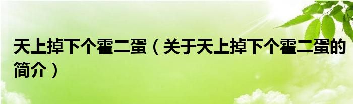 天上掉下個霍二蛋（關(guān)于天上掉下個霍二蛋的簡介）