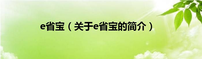 e省寶（關(guān)于e省寶的簡(jiǎn)介）