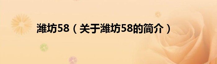 濰坊58（關(guān)于濰坊58的簡(jiǎn)介）