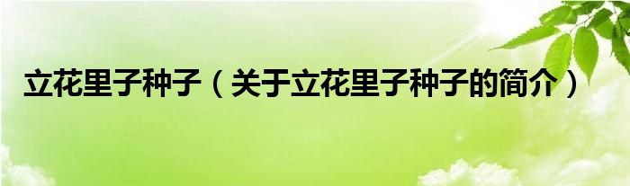 立花里子種子（關(guān)于立花里子種子的簡介）