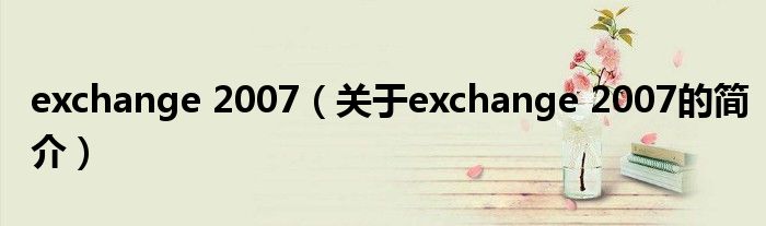 exchange 2007（關(guān)于exchange 2007的簡介）