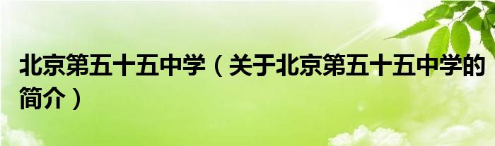 北京第五十五中學（關于北京第五十五中學的簡介）