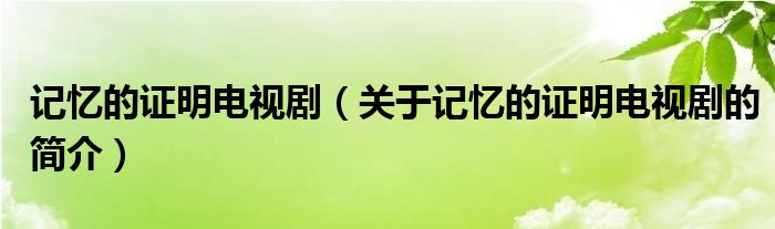 記憶的證明電視?。P(guān)于記憶的證明電視劇的簡介）