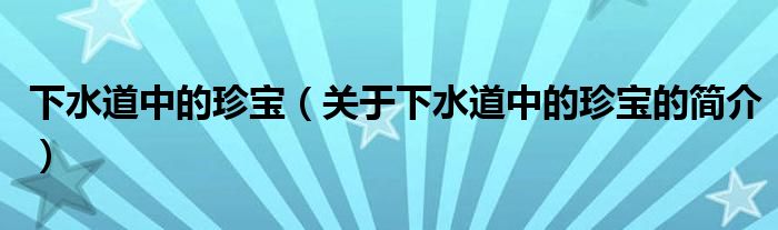 下水道中的珍寶（關(guān)于下水道中的珍寶的簡介）