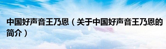 中國(guó)好聲音王乃恩（關(guān)于中國(guó)好聲音王乃恩的簡(jiǎn)介）