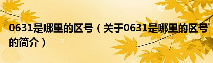 0631是哪里的區(qū)號（關(guān)于0631是哪里的區(qū)號的簡介）