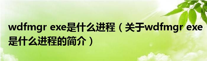 wdfmgr exe是什么進(jìn)程（關(guān)于wdfmgr exe是什么進(jìn)程的簡(jiǎn)介）