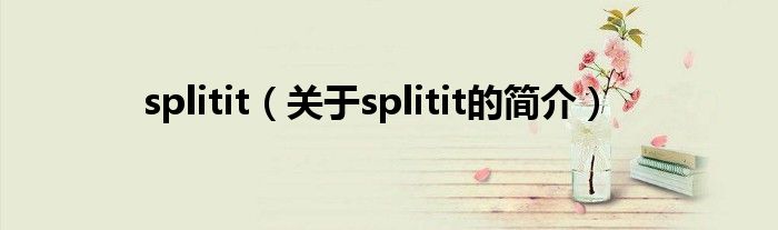 splitit（關(guān)于splitit的簡介）