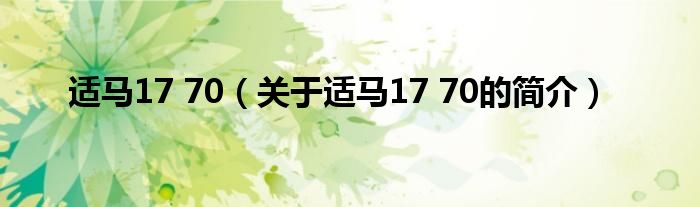 適馬17 70（關(guān)于適馬17 70的簡(jiǎn)介）