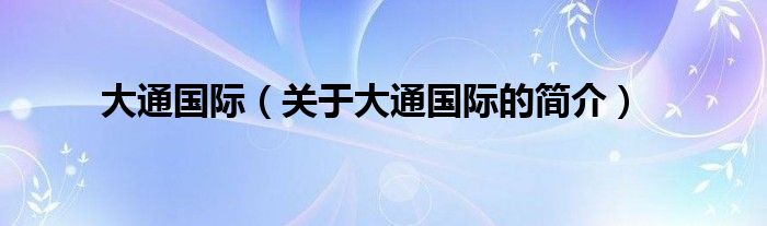 大通國際（關(guān)于大通國際的簡介）